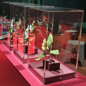 Transparente Glasvitrine mit stabiler Glasstruktur für sichere Aufbewahrung