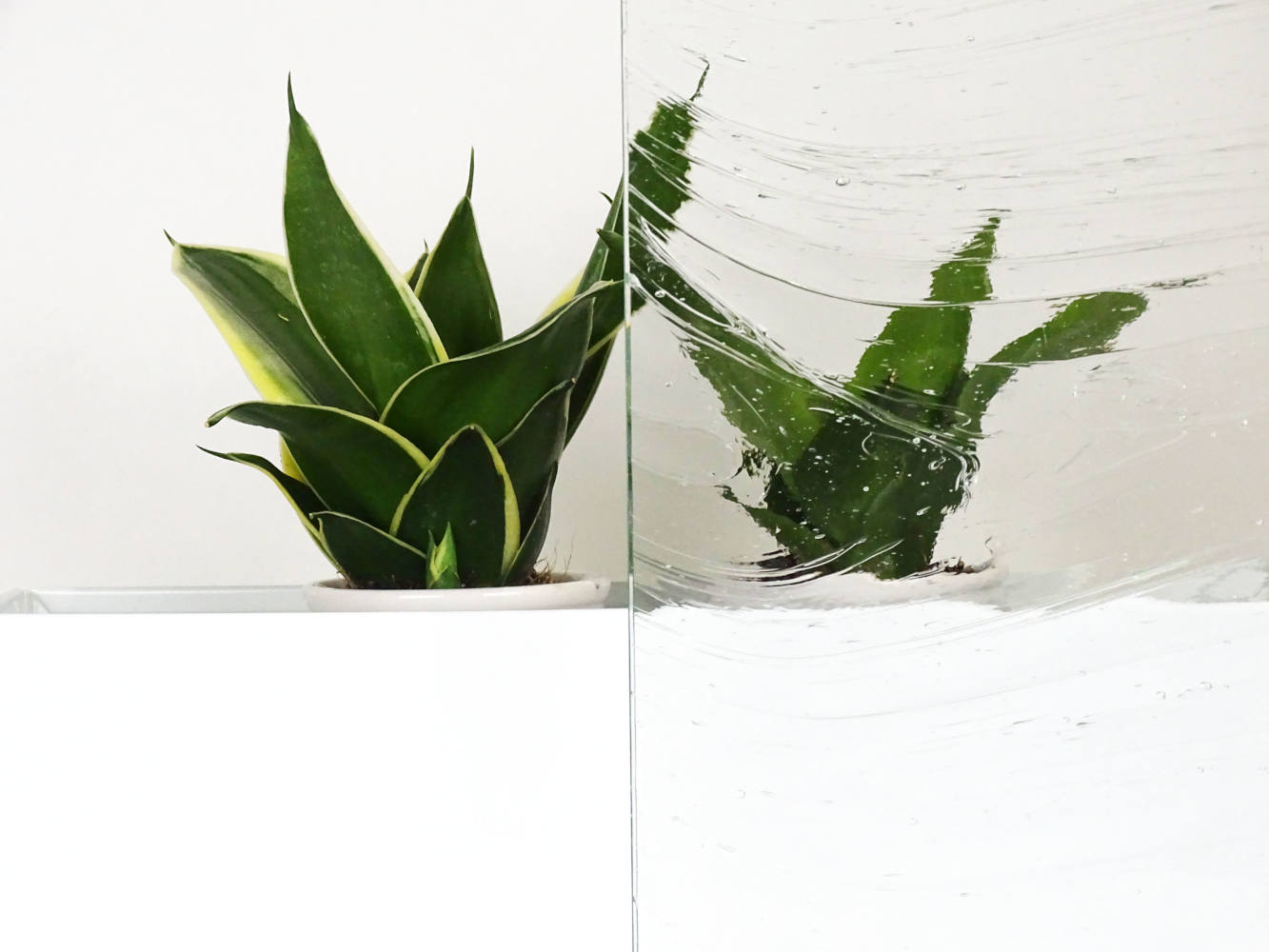 Ornamentglas – Bild 3