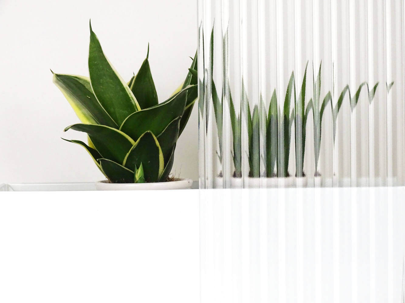 Ornamentglas – Bild 4