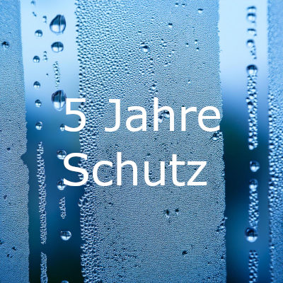 vetroShower Versiegelung